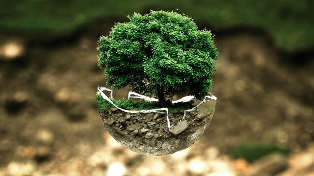 Résalience, du PhD à l'entreprise : sciences de la vie