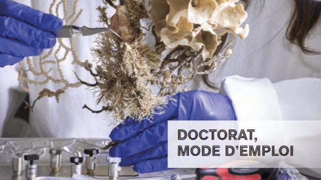 Doctorat mode d'emploi