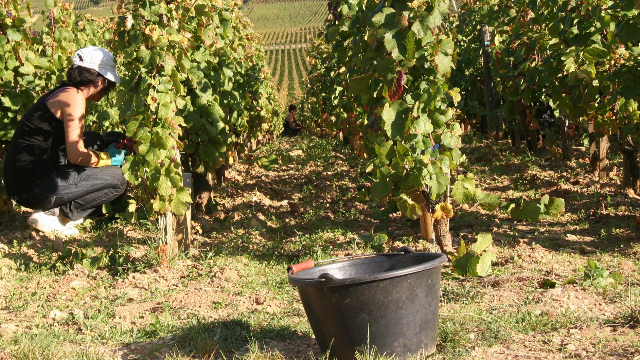 Comment faire briller les jobs étudiants sur votre CV ?